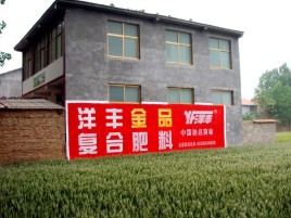 青神如何让墙体广告展现最大化效果