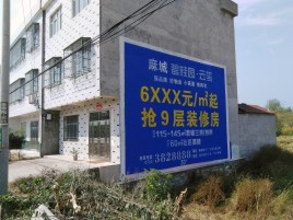 青神墙体广告质量分析