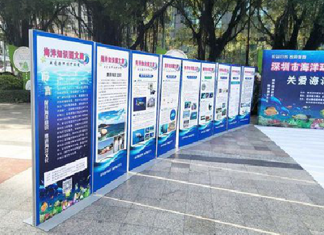 青神KT板的种类和知识。